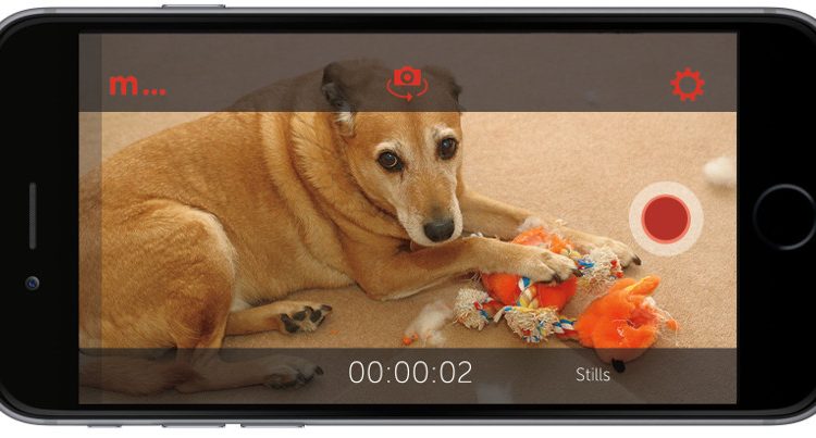 Turn smartphone camera into CCTV